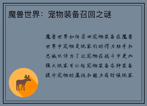 魔兽世界：宠物装备召回之谜